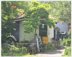  2024Ÿ��77112 ��� ���� ��� ������ 565-1      �ܵ�����,�����ð��