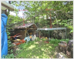  2024Ÿ��77112 ��� ���� ��� ������ 565-1      �ܵ�����,�����ð��