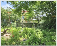  2024Ÿ��77112 ��� ���� ��� ������ 565-1      �ܵ�����,�����ð��