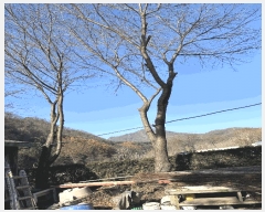  2024Ÿ��77310 ��� ���� ������ ������� 255-53      ���ð��