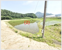  2024Ÿ��77358  ����