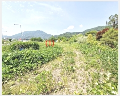  2024Ÿ��77358  ����