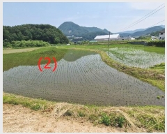  2024Ÿ��77358  ����