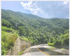  2024Ÿ79569   ϸ 븮 70-181      (Ӿ)