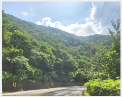  2024Ÿ79569   ϸ 븮 70-181      (Ӿ)