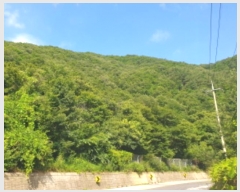  2024Ÿ79569   ϸ 븮 70-181      (Ӿ)