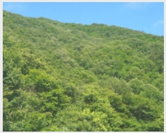  2024Ÿ79569   ϸ 븮 70-181      (Ӿ)