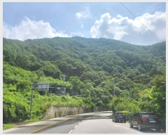  2024Ÿ79569   ϸ 븮 70-181      (Ӿ)