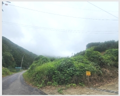  2024Ÿ��79606 ��� ���� û��� ��õ�� ��298-1      ����(�Ӿ�)���