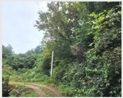  2024Ÿ��79606 ��� ���� û��� ��õ�� ��298-1      ����(�Ӿ�)���