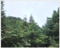  2024Ÿ��79606 ��� ���� û��� ��õ�� ��298-1      ����(�Ӿ�)���