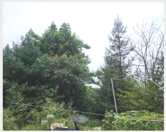  2024Ÿ��79606 ��� ���� û��� ��õ�� ��298-1      ����(�Ӿ�)���