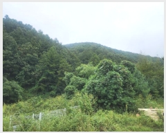  2024Ÿ��79606 ��� ���� û��� ��õ�� ��298-1      ����(�Ӿ�)���