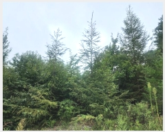  2024Ÿ��79606 ��� ���� û��� ��õ�� ��298-1      ����(�Ӿ�)���