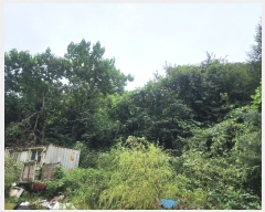  2024Ÿ��79606 ��� ���� û��� ��õ�� ��298-1      ����(�Ӿ�)���