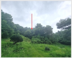  2024Ÿ79989  ֽ  Ⱦ߸ 115-1      (Ӿ)