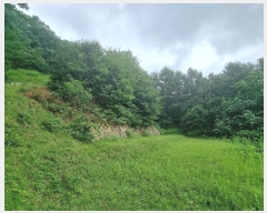  2024Ÿ79989  ֽ  Ⱦ߸ 115-1      (Ӿ)