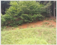  2024Ÿ79989  ֽ  Ⱦ߸ 115-1      (Ӿ)