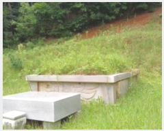  2024Ÿ79989  ֽ  Ⱦ߸ 115-1      (Ӿ)