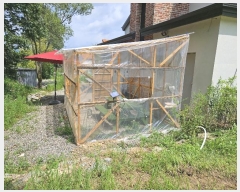  2024Ÿ80019   Ǹ âǸ 247-14      ð