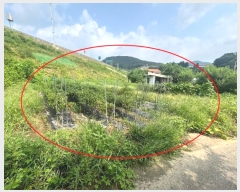  2024Ÿ80958  ֽ ȭ 긮 460-1      (1)