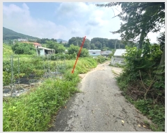  2024Ÿ80958  ֽ ȭ 긮 460-1      (1)