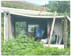  2024Ÿ80958  ֽ ȭ 긮 460-1      (1)