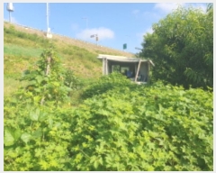  2024Ÿ80958  ֽ ȭ 긮 460-1      (1)