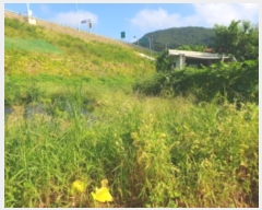  2024Ÿ80958  ֽ ȭ 긮 460-1      (1)