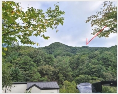  2024Ÿ81036    ιи 65-32      (Ӿ)