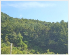  2024Ÿ81036    ιи 65-32      (Ӿ)