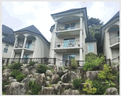  2024Ÿ��81081  ���(ķ����)���