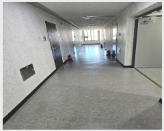  2024Ÿ��81487  ���ǽ��ڰ��