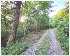  2024Ÿ��81692  �Ӿ߰��