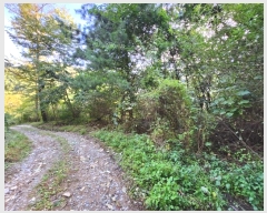  2024Ÿ��81692  �Ӿ߰��