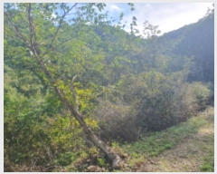  2024Ÿ��81692  �Ӿ߰��