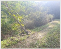  2024Ÿ��81692  �Ӿ߰��