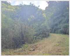  2024Ÿ��81692  �Ӿ߰��