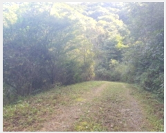  2024Ÿ��81692  �Ӿ߰��