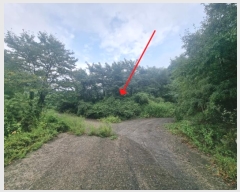  2024Ÿ��82015 ��� �����ֽ� ������ �ݰ 59-15      ����(�������)���