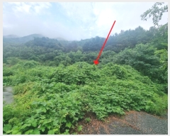  2024Ÿ��82015 ��� �����ֽ� ������ �ݰ 59-15      ����(�������)���