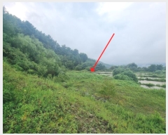  2024Ÿ��82015 ��� �����ֽ� ������ �ݰ 59-15      ����(�������)���