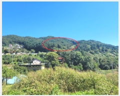  2024Ÿ��82350 ��� ���� ��� ���ʸ� 454      ����(�Ӿ�)���