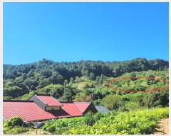  2024Ÿ��82350 ��� ���� ��� ���ʸ� 454      ����(�Ӿ�)���