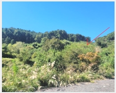  2024Ÿ��82350 ��� ���� ��� ���ʸ� 454      ����(�Ӿ�)���