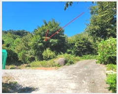  2024Ÿ��82350 ��� ���� ��� ���ʸ� 454      ����(�Ӿ�)���