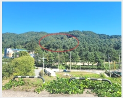  2024Ÿ��82350 ��� ���� ��� ���ʸ� 454      ����(�Ӿ�)���