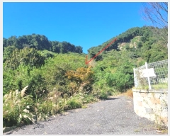  2024Ÿ��82350 ��� ���� ��� ���ʸ� 454      ����(�Ӿ�)���