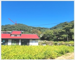  2024Ÿ��82350 ��� ���� ��� ���ʸ� 454      ����(�Ӿ�)���