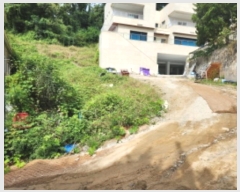  2024Ÿ��82541 ��� �����ֽ� ������ 148       ����(����)���